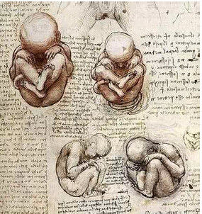 ���H�Ծ�������ʬ�w��