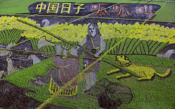 巨幅“3D稻田畫”亮相沈陽(yáng) 巨幅“3D稻田畫”亮相沈陽(yáng)
