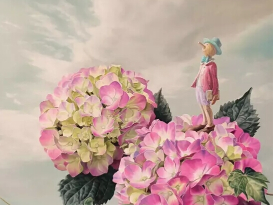 ���������-�n��ˇ�g(sh��)������Ʒչ��������ꑡ��V��