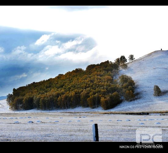 ��ۼ��� ������Ȼ����ӛ�҇������zӰˇ�g�҄�����